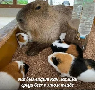🥰