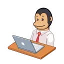 💻