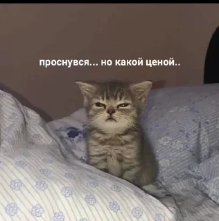 🤕