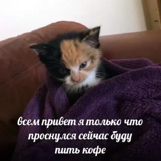 🥳