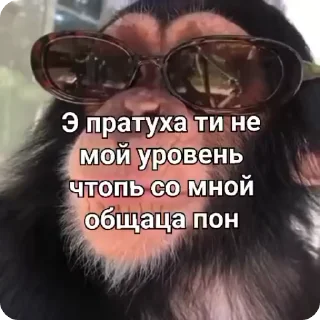 🌟