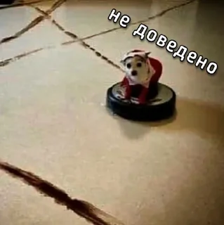 🙅‍♂