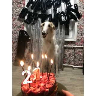 🎉