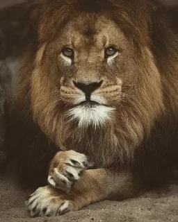 😌