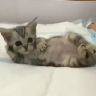 😏
