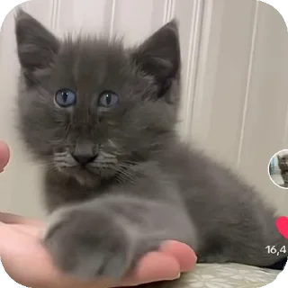 👍