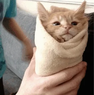 🌯