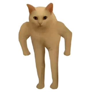 😎