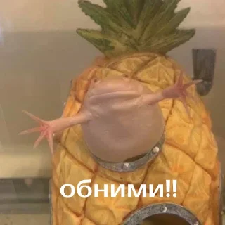 🤗