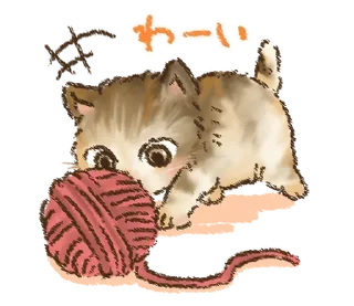 🐱