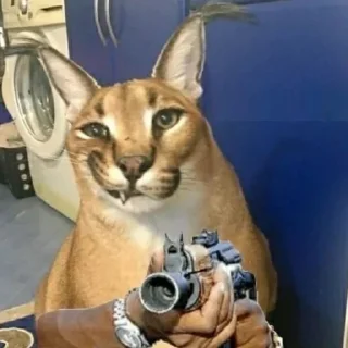 🔫