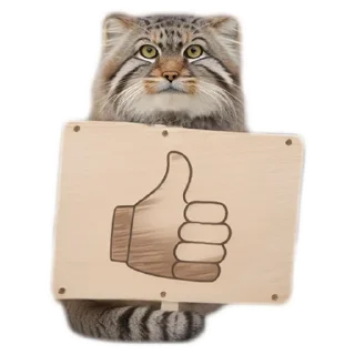 👍