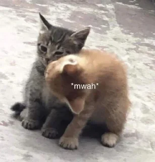 💋