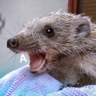 😱