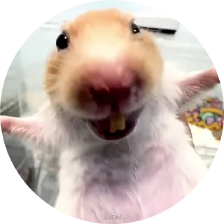 😆