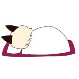😴