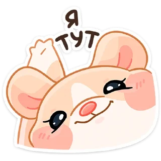 👋