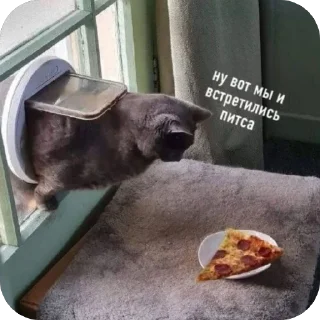🍕