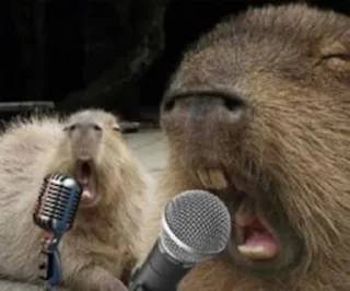 🎤