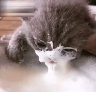 🤍