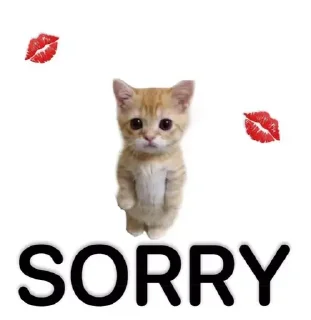 💋