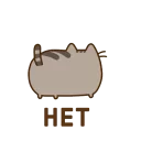 📛
