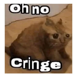 🙀