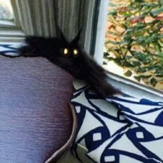👀