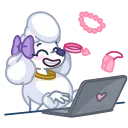 ⌨️
