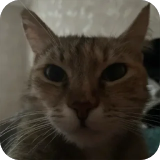 😐