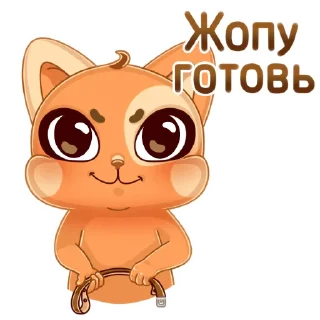 😼