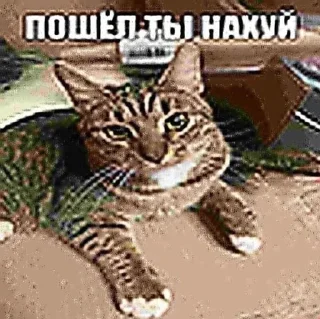 😟
