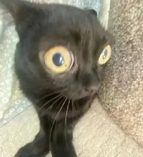 😳