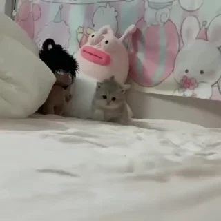 😑