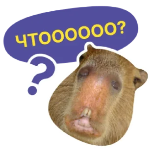 😱