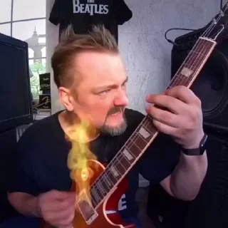 🎸