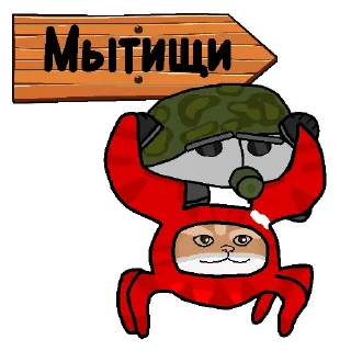👉