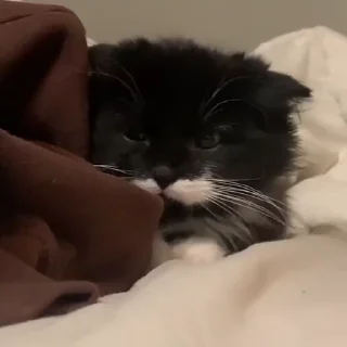 😨