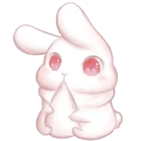 🐰