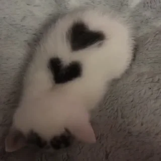 ❤️