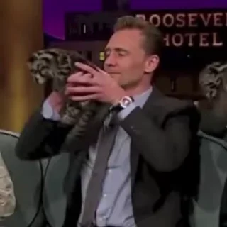 🐈