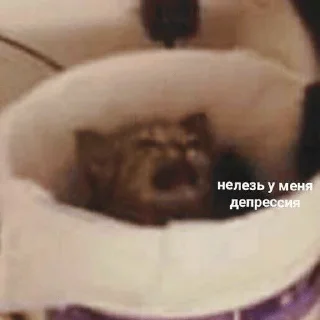 😞