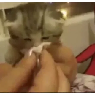 😭