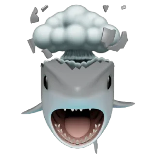 🦈