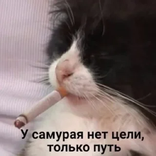 🚬