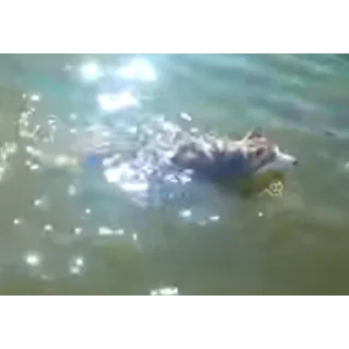 👍