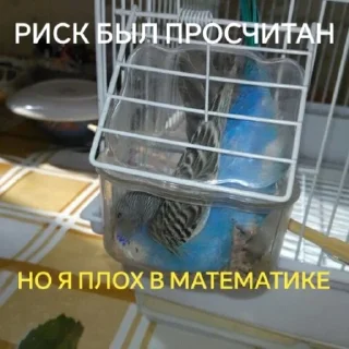 🥸