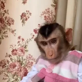😊