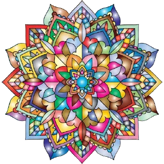 🎨