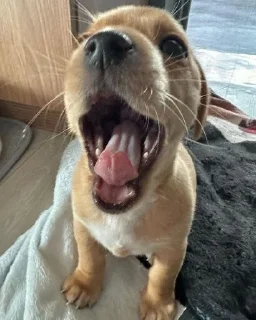 😆